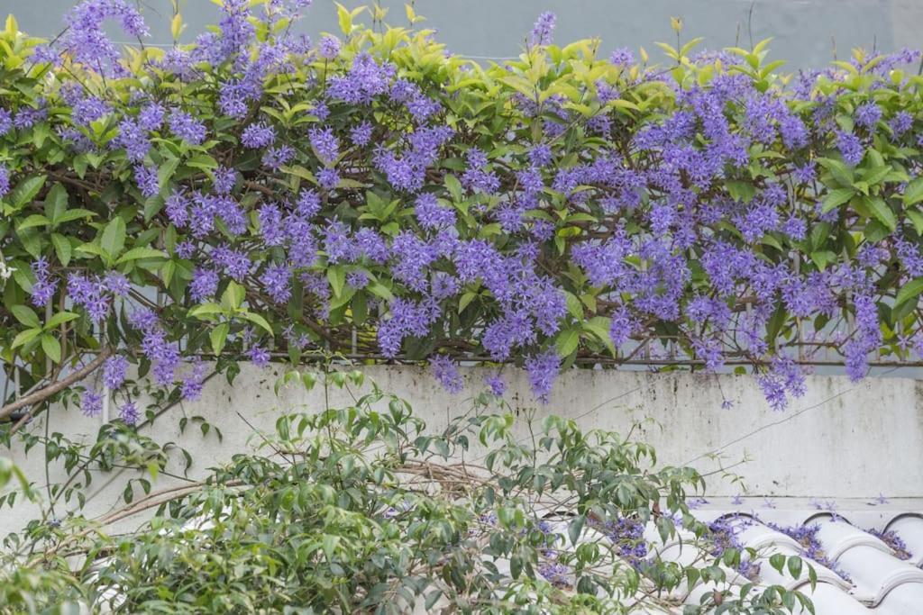 פורטו אלגרה Morada Das Flores מראה חיצוני תמונה