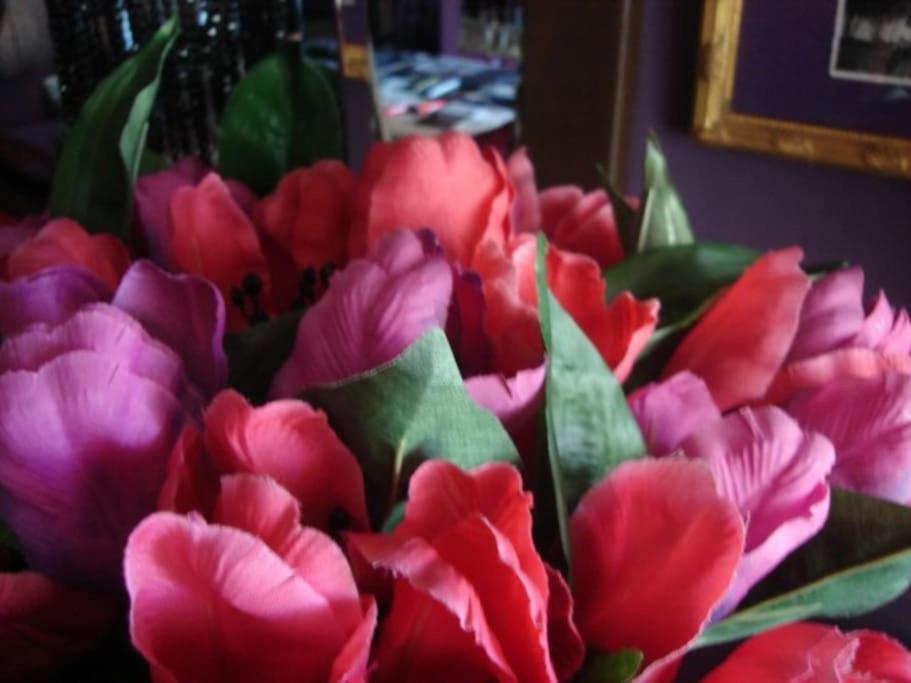 פורטו אלגרה Morada Das Flores מראה חיצוני תמונה