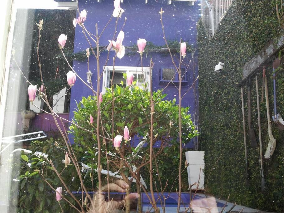 פורטו אלגרה Morada Das Flores מראה חיצוני תמונה